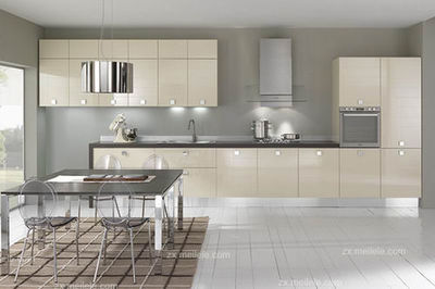 不锈钢洗菜盆品牌推荐与选购指南